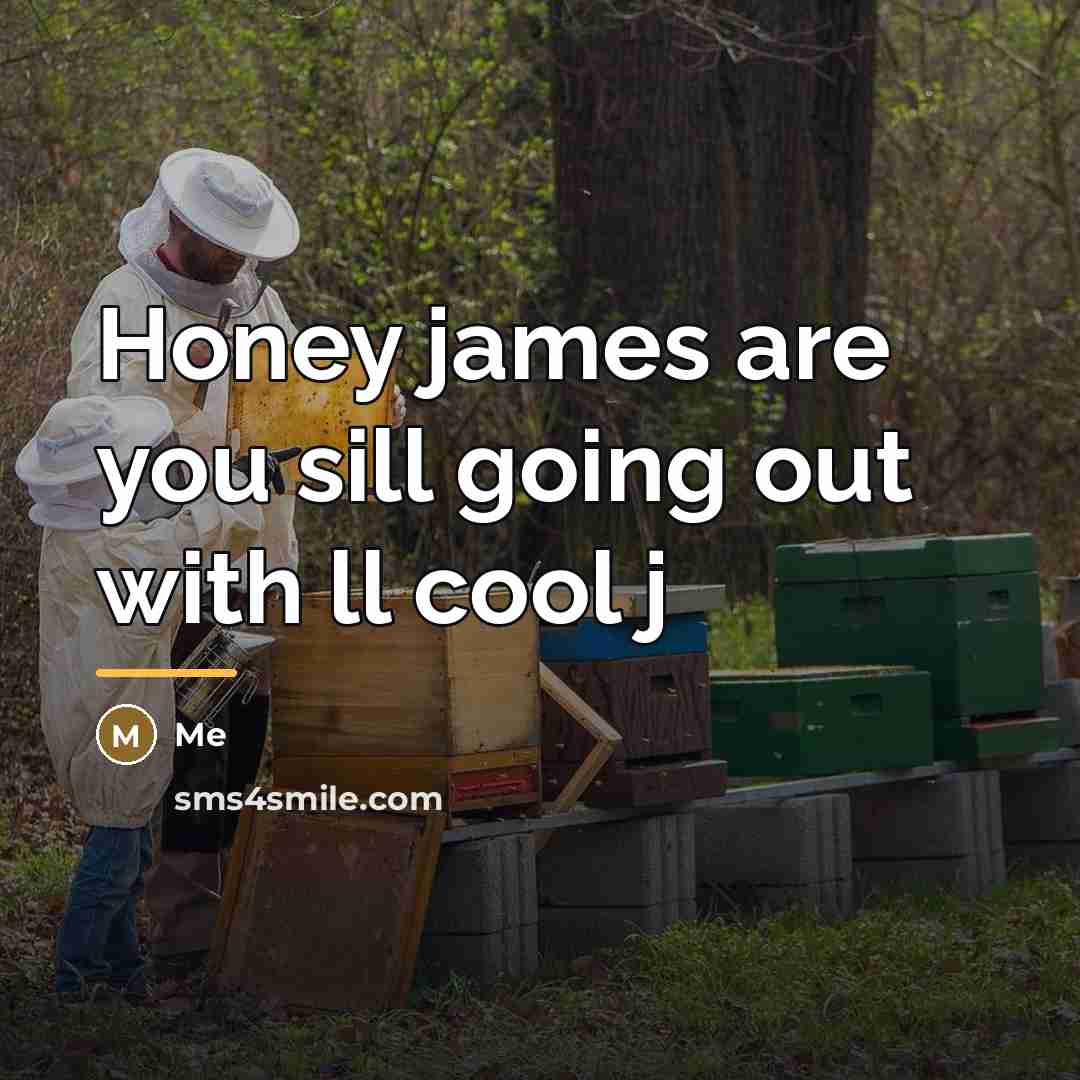 “Honey james are you sill going out with ll cool…” quote by Me