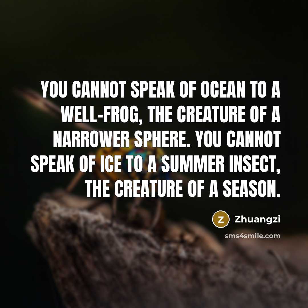 “You cannot speak of ocean to a well-frog, the creature of a narrower sphere. You cannot speak of ice to a summer insect, the creature of a season.” quote by Zhuangzi