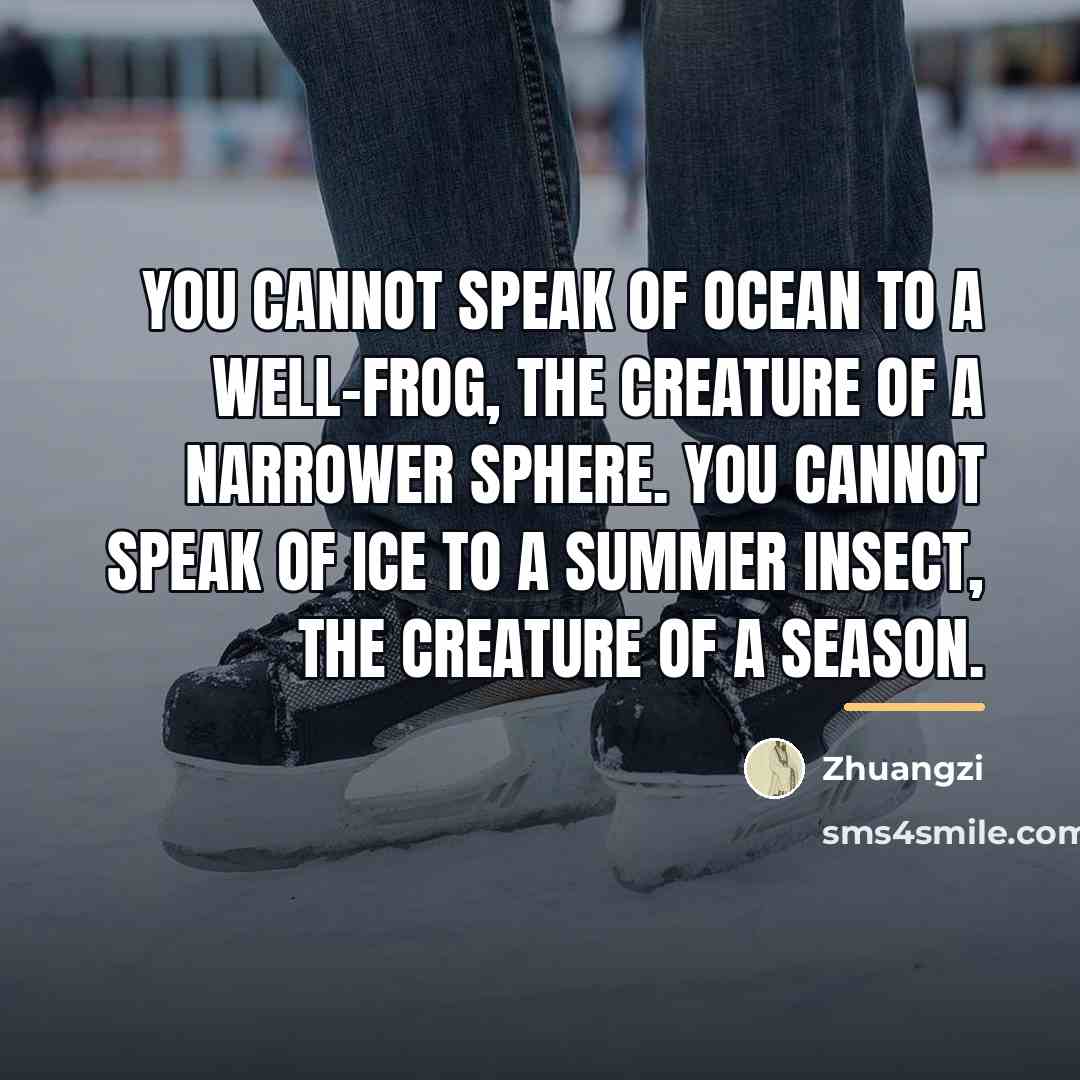 “You cannot speak of ocean to a well-frog, the creature…” quote by Zhuangzi