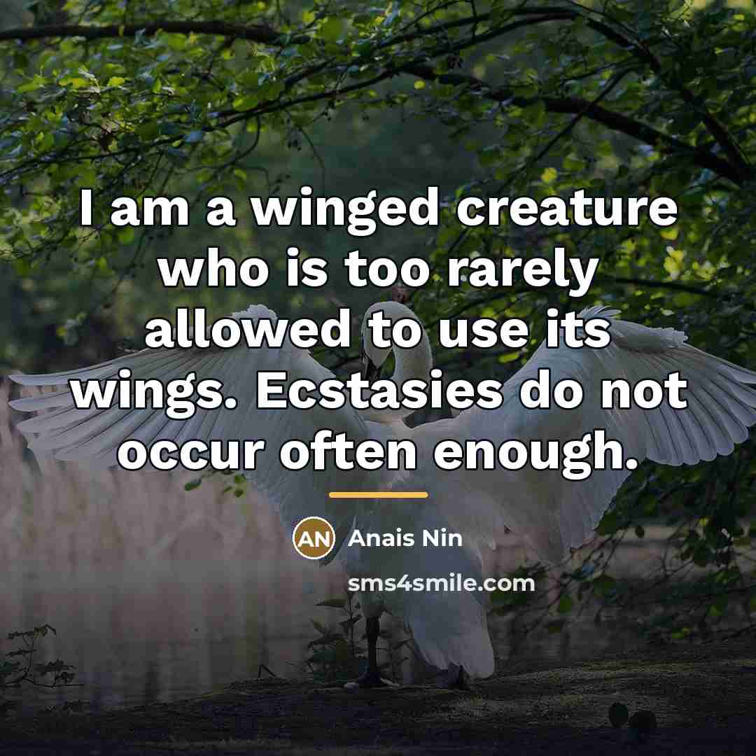“I am a winged creature who is too rarely allowed…” quote by Anais Nin