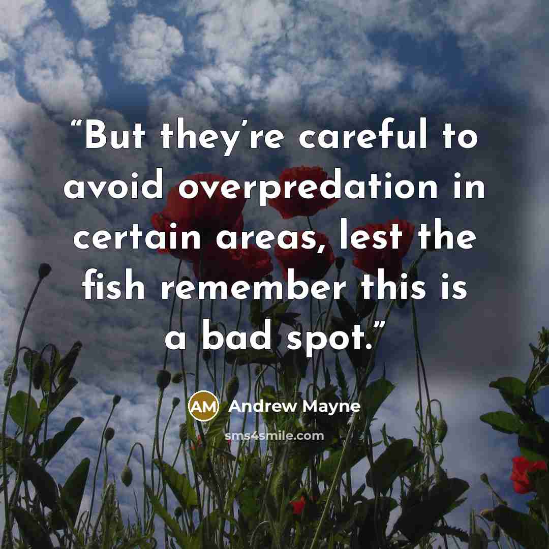 “But they’re careful to avoid overpredation in certain areas, lest the fish remember this is a bad spot.” quote by Andrew Mayne