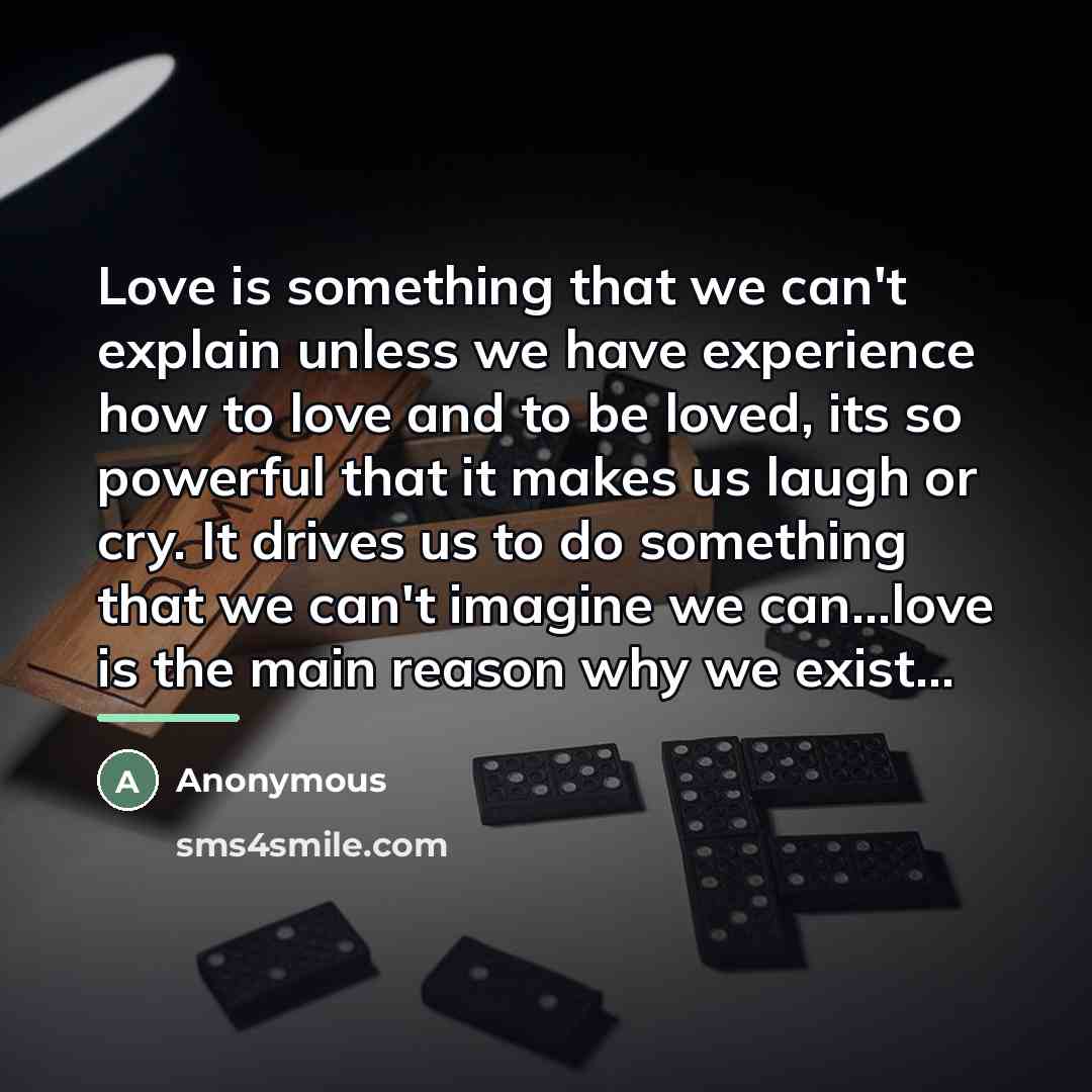 “Love is something that we can't explain unless we have…” quote by Anonymous