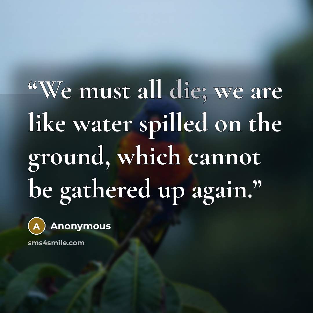 “We must all die; we are like water spilled on the ground, which cannot be gathered up again.” quote by Anonymous