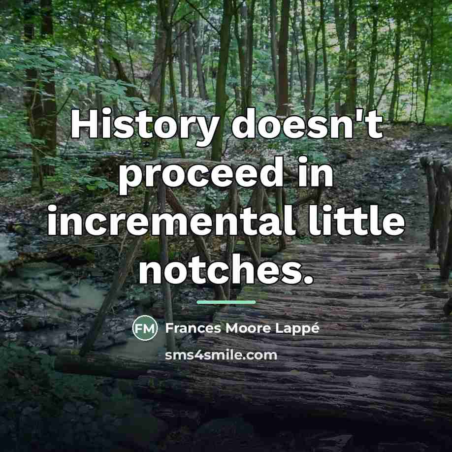 “History doesn't proceed in incremental little notches.…” quote by Frances Moore Lappé