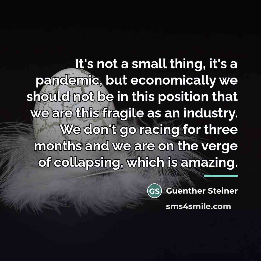 “It's not a small thing, it's a pandemic, but economically…” quote by Guenther Steiner