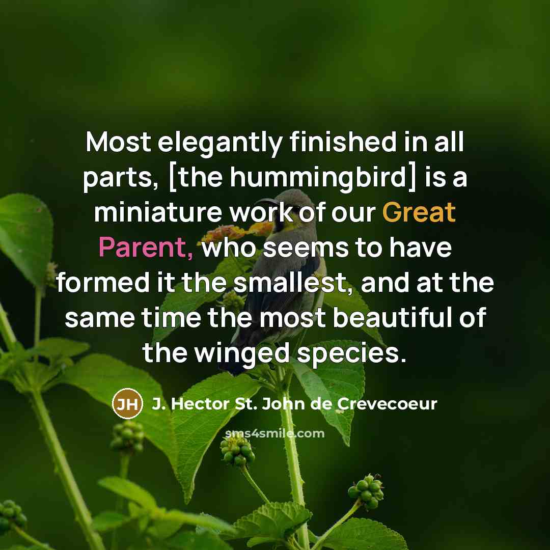 “Most elegantly finished in all parts, [the hummingbird] is a…” quote by J. Hector St. John de Crevecoeur