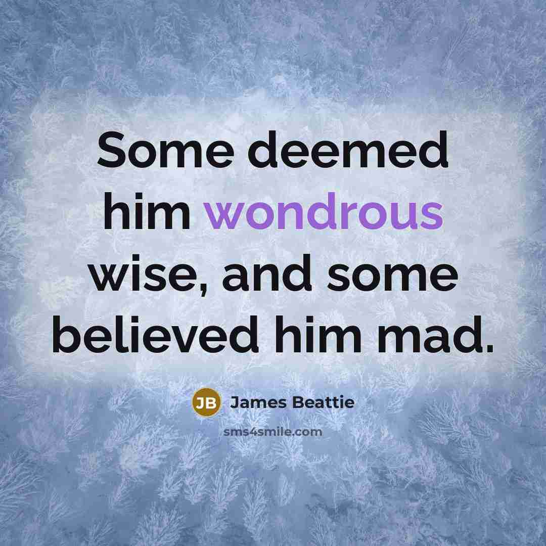 “Some deemed him wondrous wise, and some believed him mad.…” quote by James Beattie