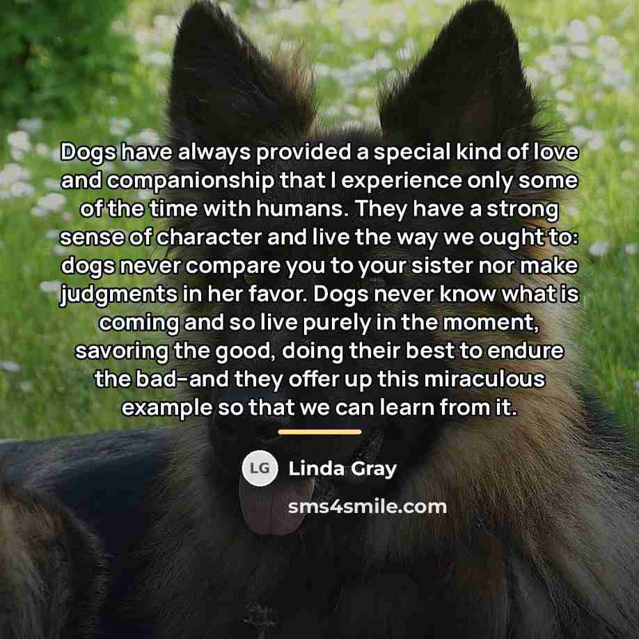 “Dogs have always provided a special kind of love and…” quote by Linda Gray
