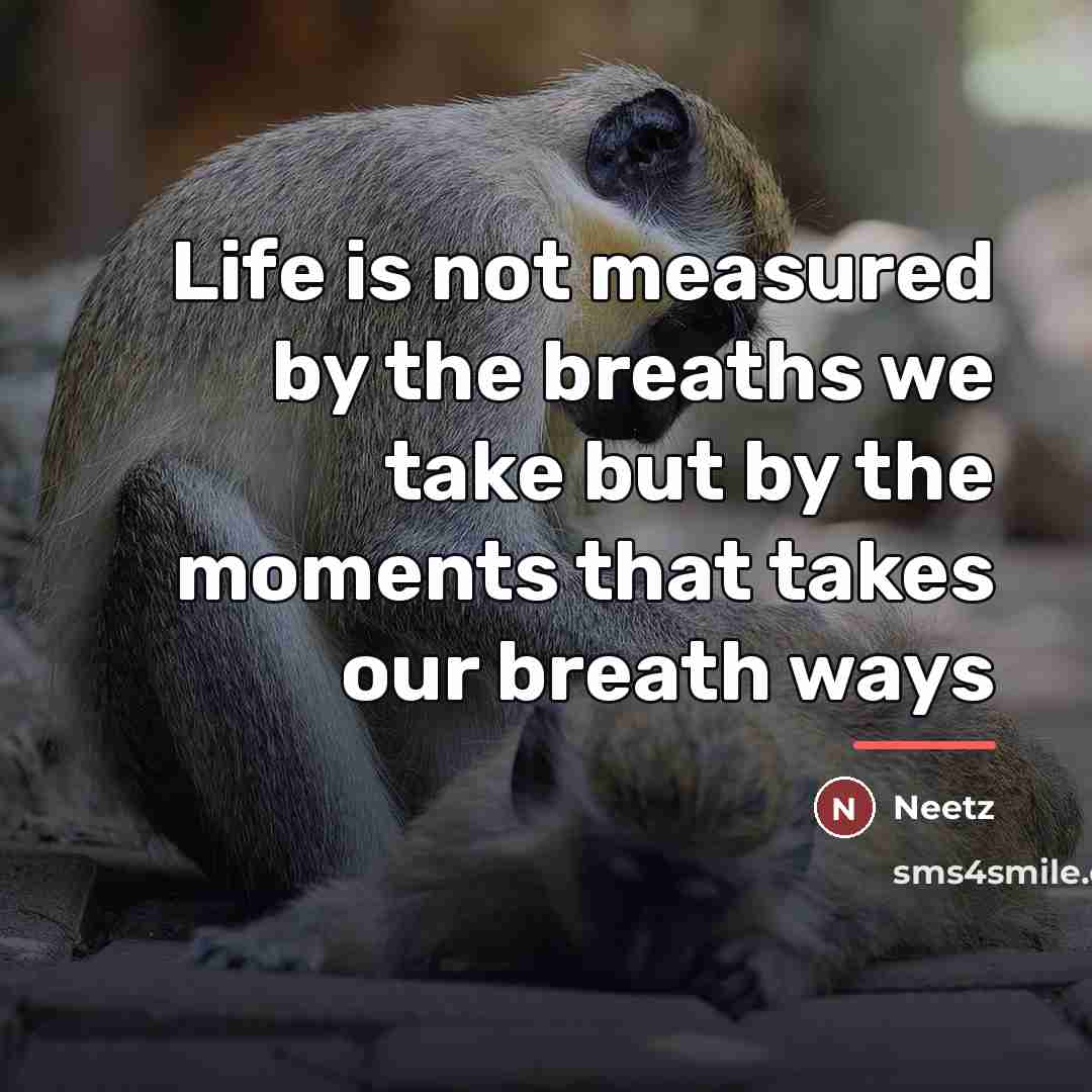“Life is not measured by the breaths we take but…” quote by Neetz