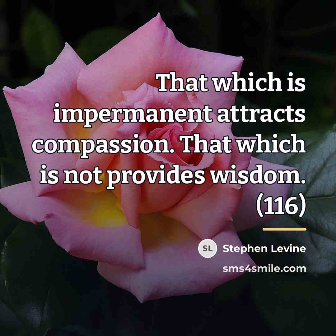 “That which is impermanent attracts compassion. That which is not…” quote by Stephen Levine