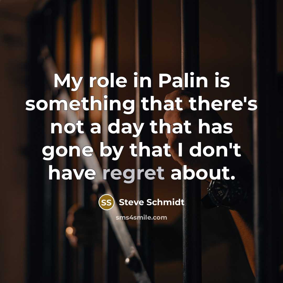 “My role in Palin is something that there's not a…” quote by Steve Schmidt