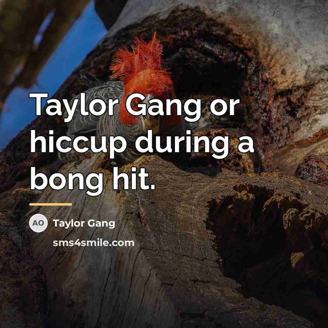“Taylor Gang or hiccup during a bong hit.…” quote by Taylor Gang