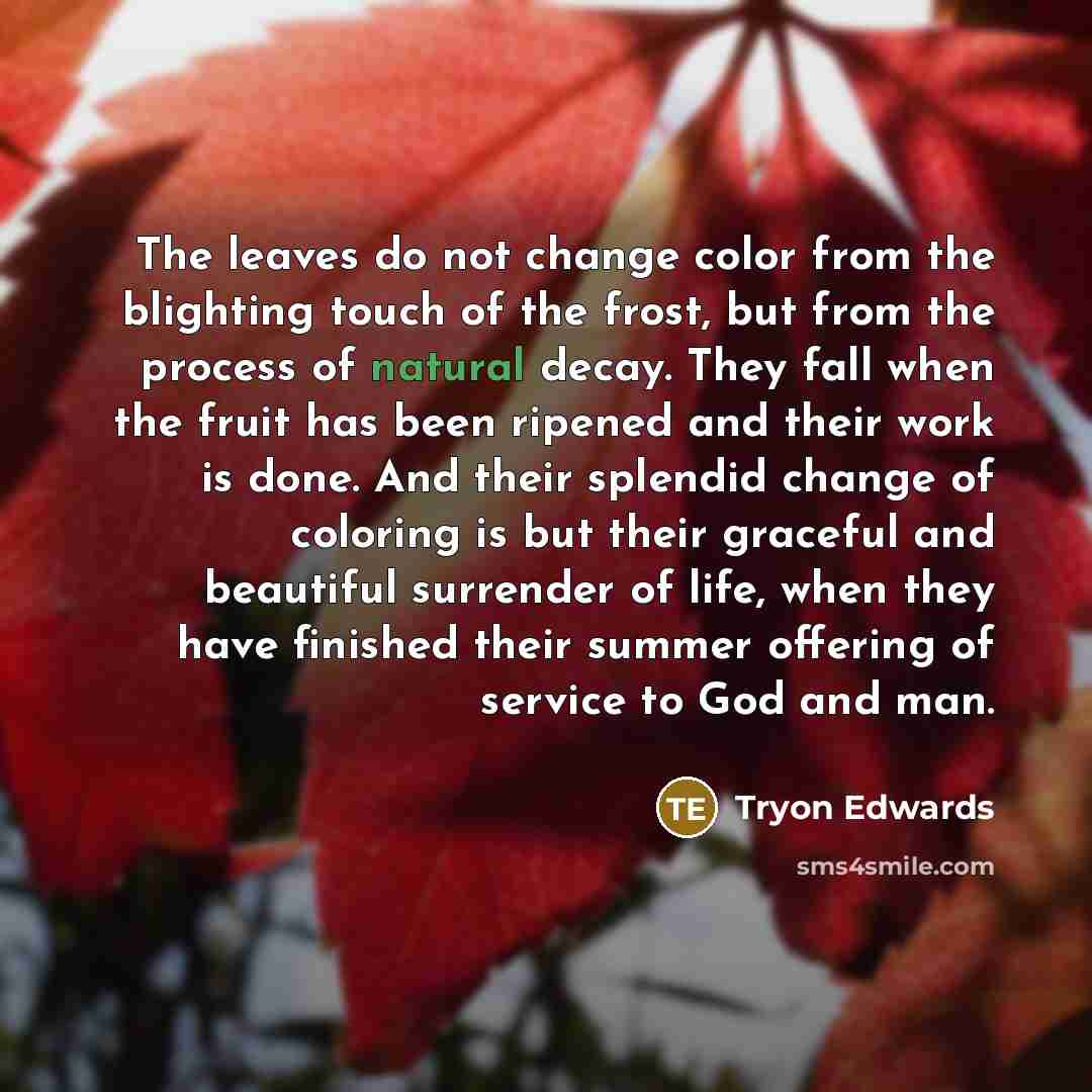 “The leaves do not change color from the blighting touch…” quote by Tryon Edwards