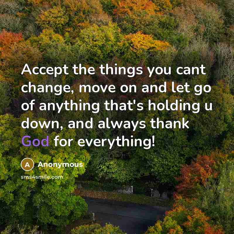 “Accept the things you cant change, move on and let go of anything that's holding u down, and always thank God for everything!” quote by Anonymous