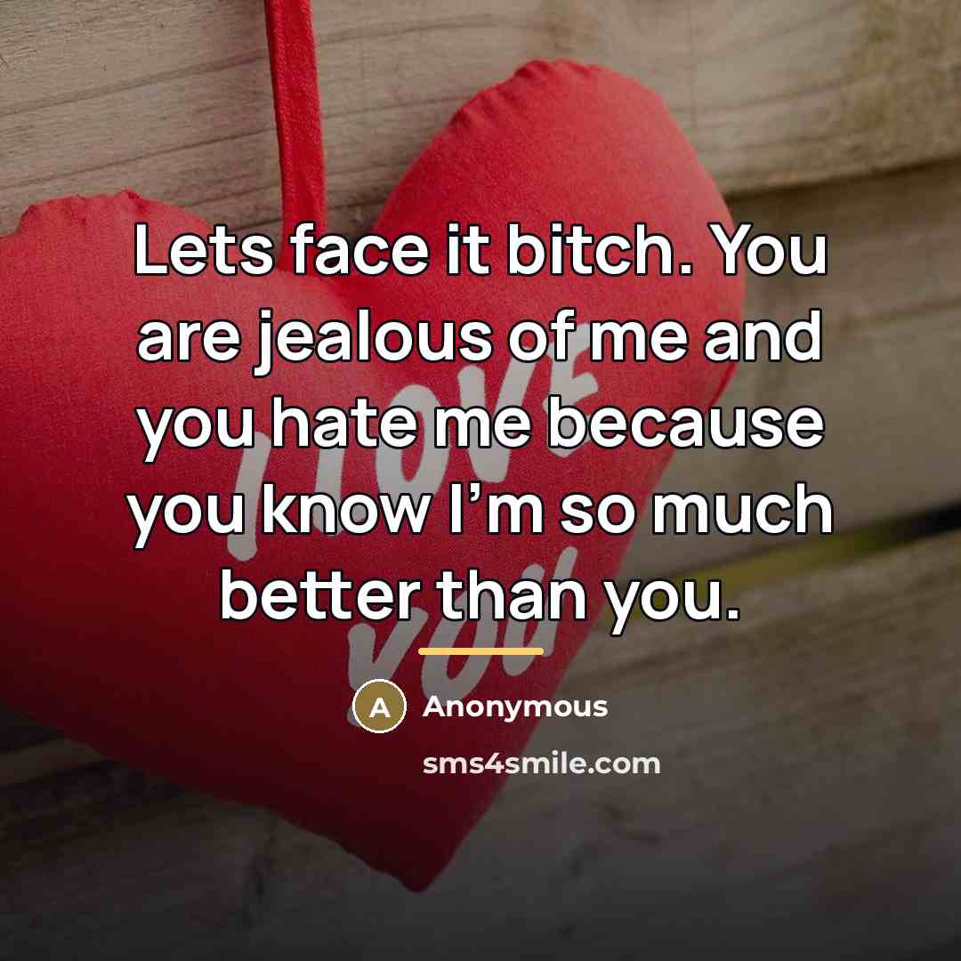 “Lets face it bitch. You are jealous of me and…” quote by Anonymous