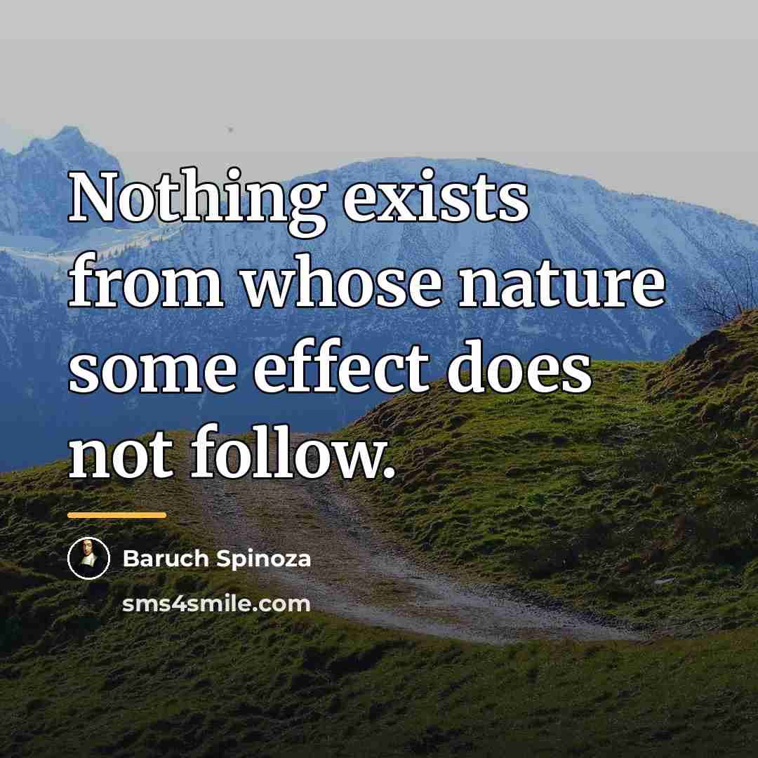 “Nothing exists from whose nature some effect does not follow.…” quote by Baruch Spinoza