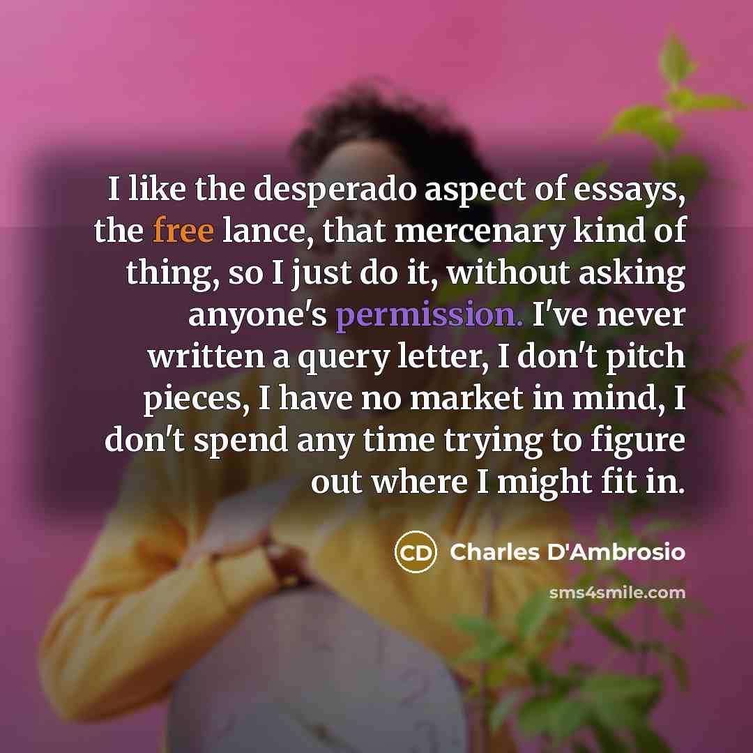 “I like the desperado aspect of essays, the free lance,…” quote by Charles D'Ambrosio