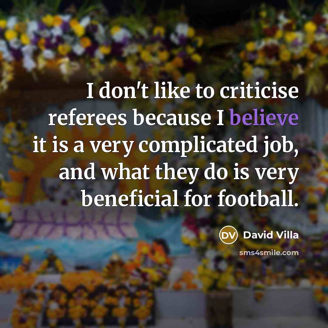 “I don't like to criticise referees because I believe it…” quote by David Villa