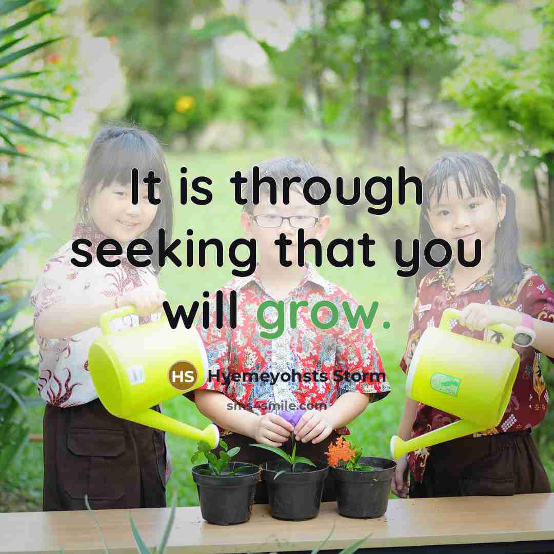 “It is through seeking that you will grow.…” quote by Hyemeyohsts Storm