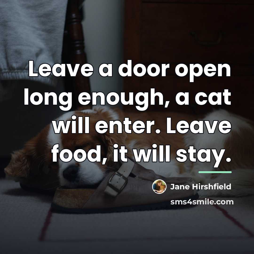 “Leave a door open long enough, a cat will enter.…” quote by Jane Hirshfield