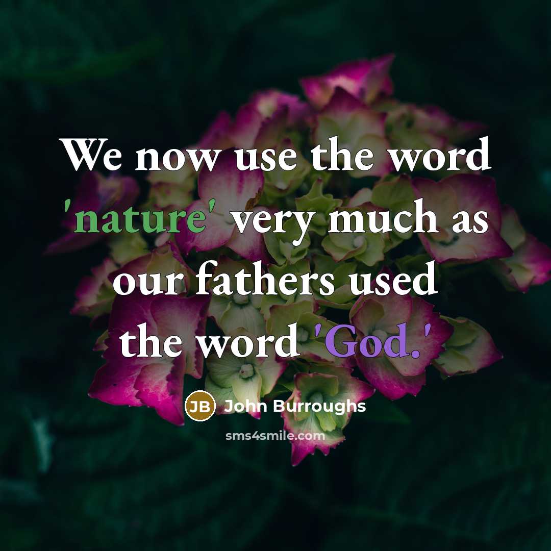 “We now use the word 'nature' very much as our fathers used the word 'God.'” quote by John Burroughs