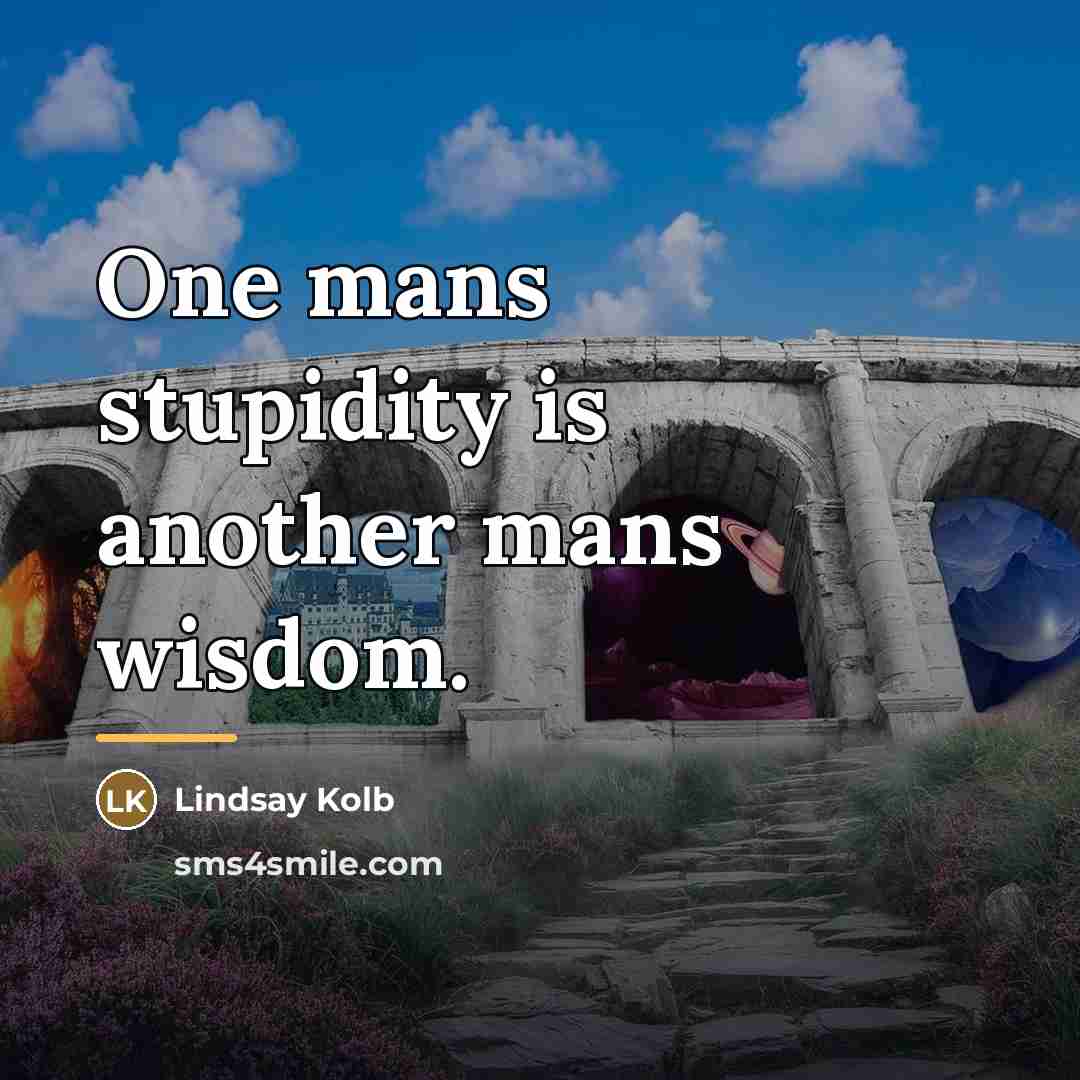 “One mans stupidity is another mans wisdom.…” quote by Lindsay Kolb