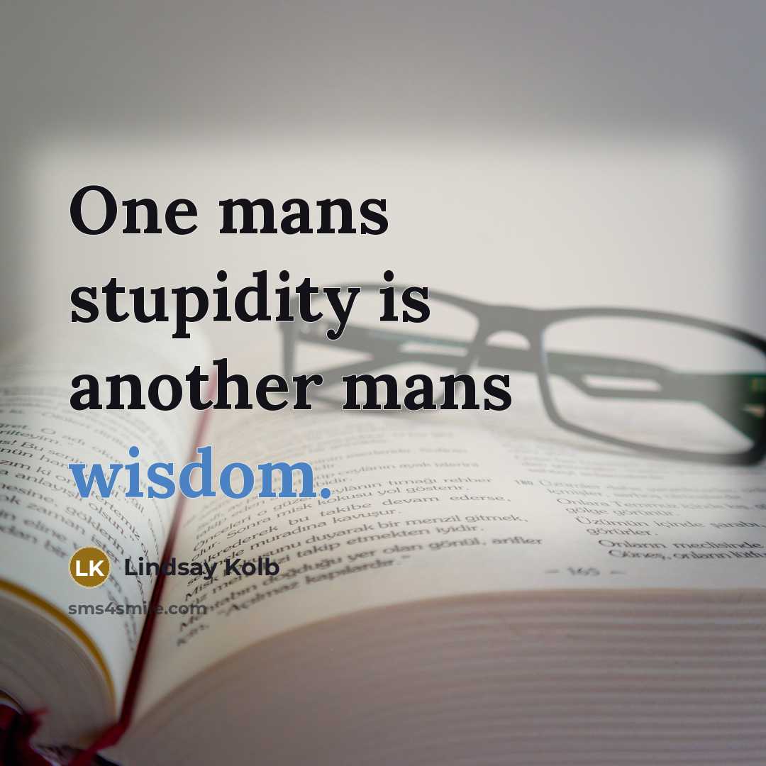 “One mans stupidity is another mans wisdom.” quote by Lindsay Kolb