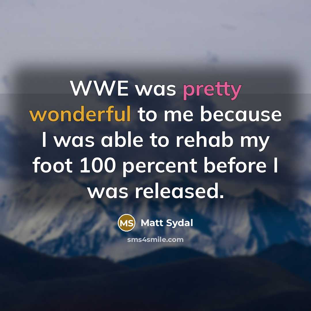 “WWE was pretty wonderful to me because I was able…” quote by Matt Sydal