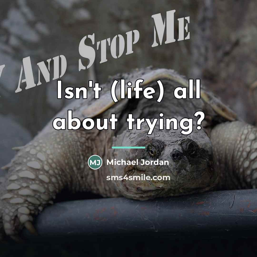 “Isn't (life) all about trying?…” quote by Michael Jordan