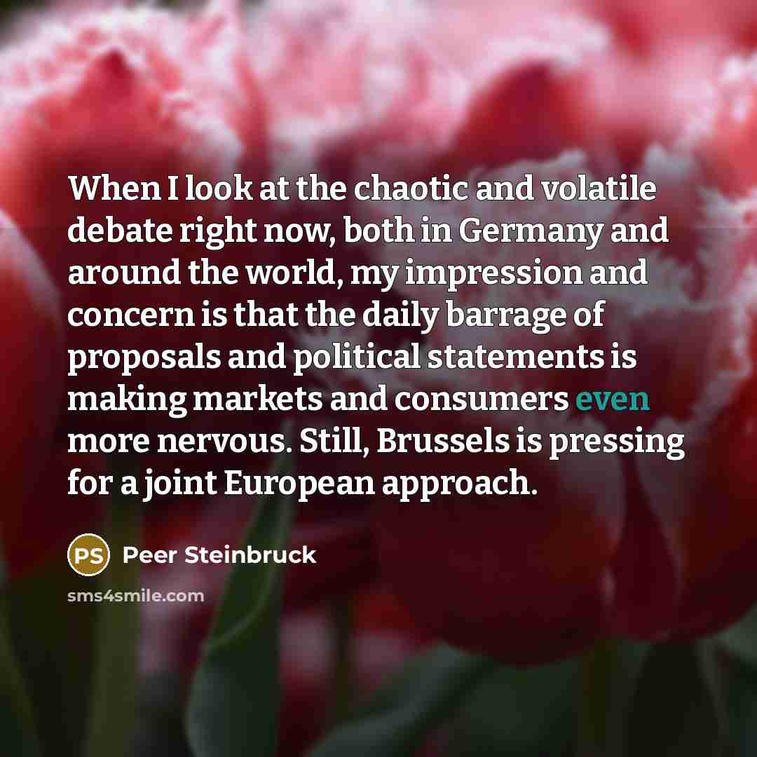 “When I look at the chaotic and volatile debate right…” quote by Peer Steinbruck