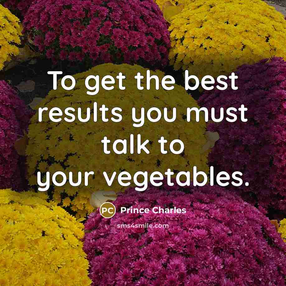 “To get the best results you must talk to your…” quote by Prince Charles