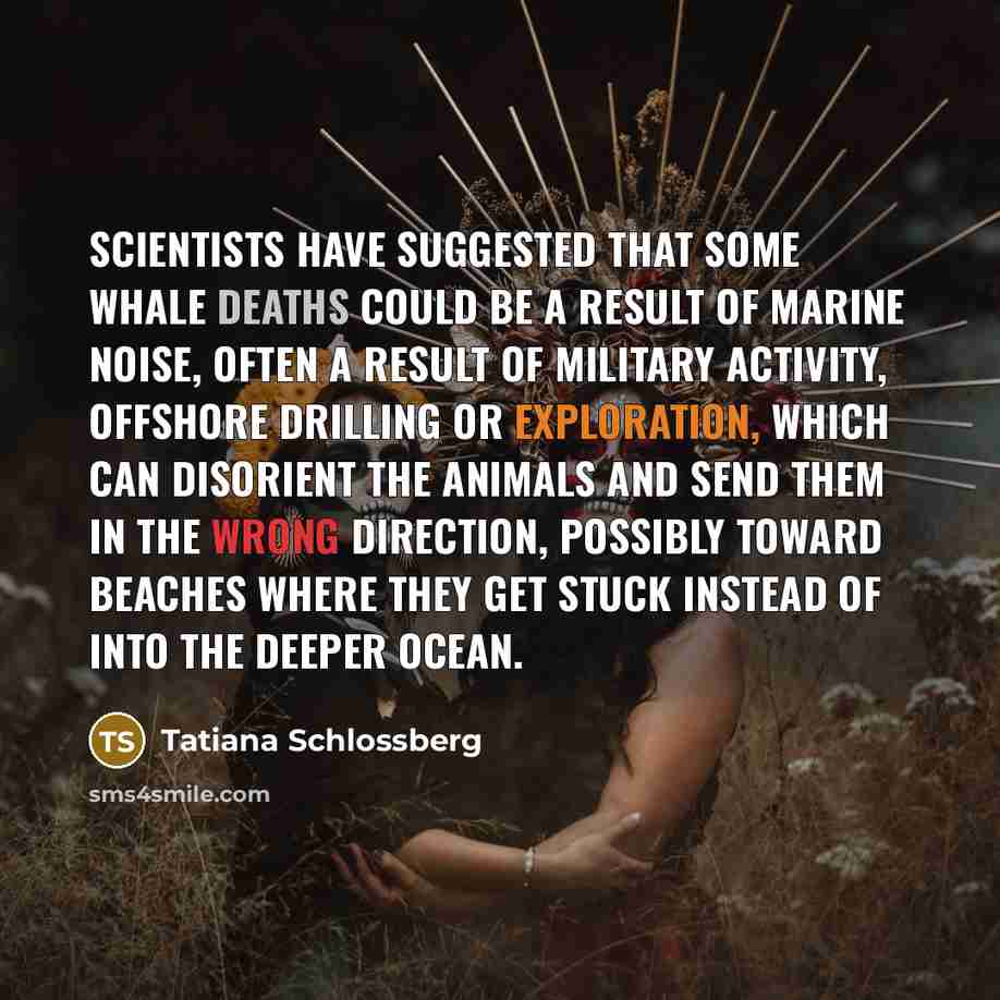 “Scientists have suggested that some whale deaths could be a…” quote by Tatiana Schlossberg