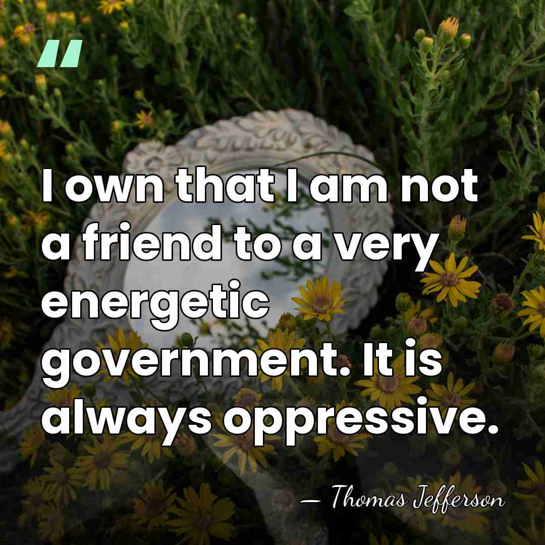 I own that I am not a friend to a very energetic&hellip; - Thomas Jefferson