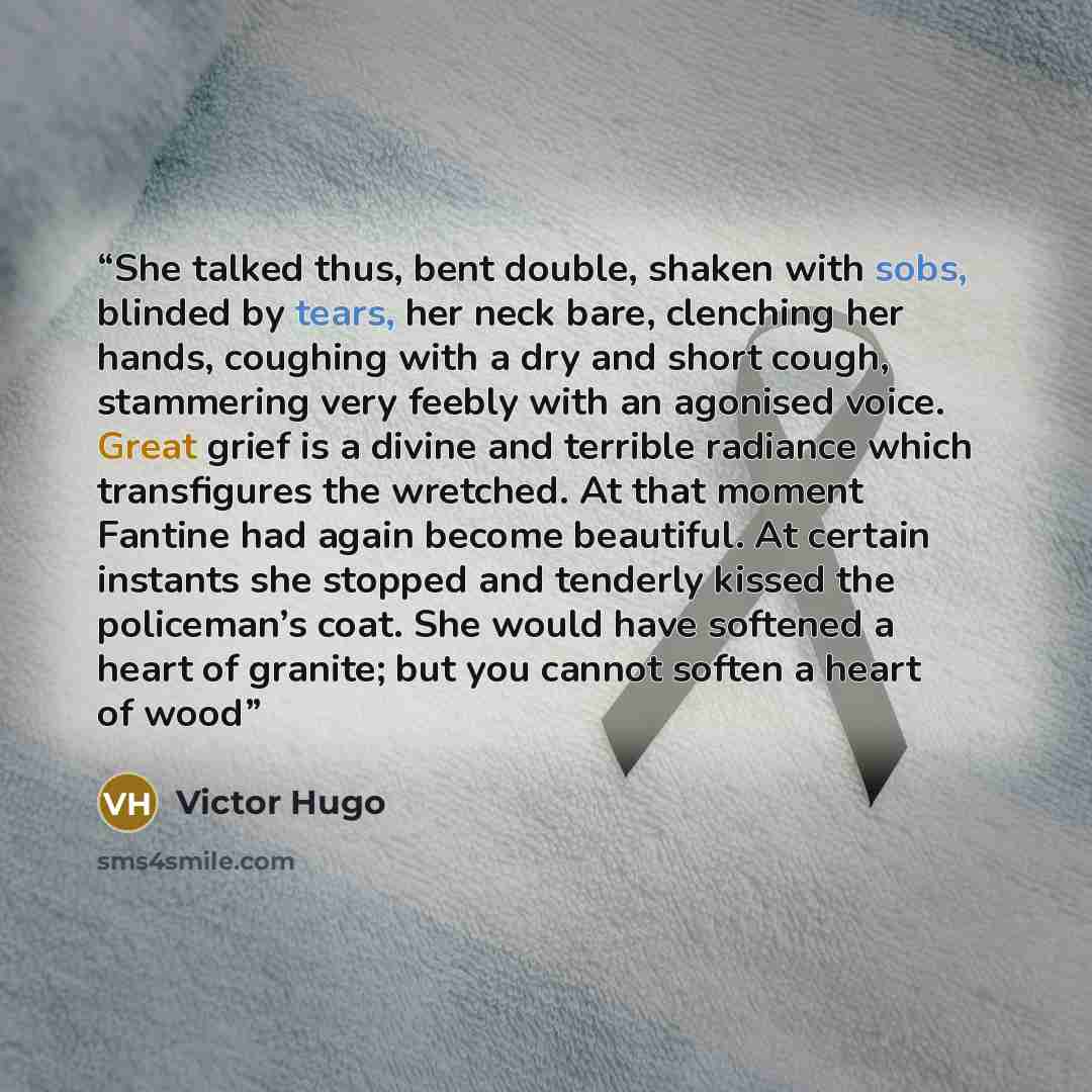 “She talked thus, bent double, shaken with sobs, blinded by tears, her neck bare, clenching her hands, coughing with a dry and short cough, stammering very feebly with an agonised voice. Great grief is a divine and terrible radiance which transfigures the wretched. At that moment Fantine had again…” quote by Victor Hugo