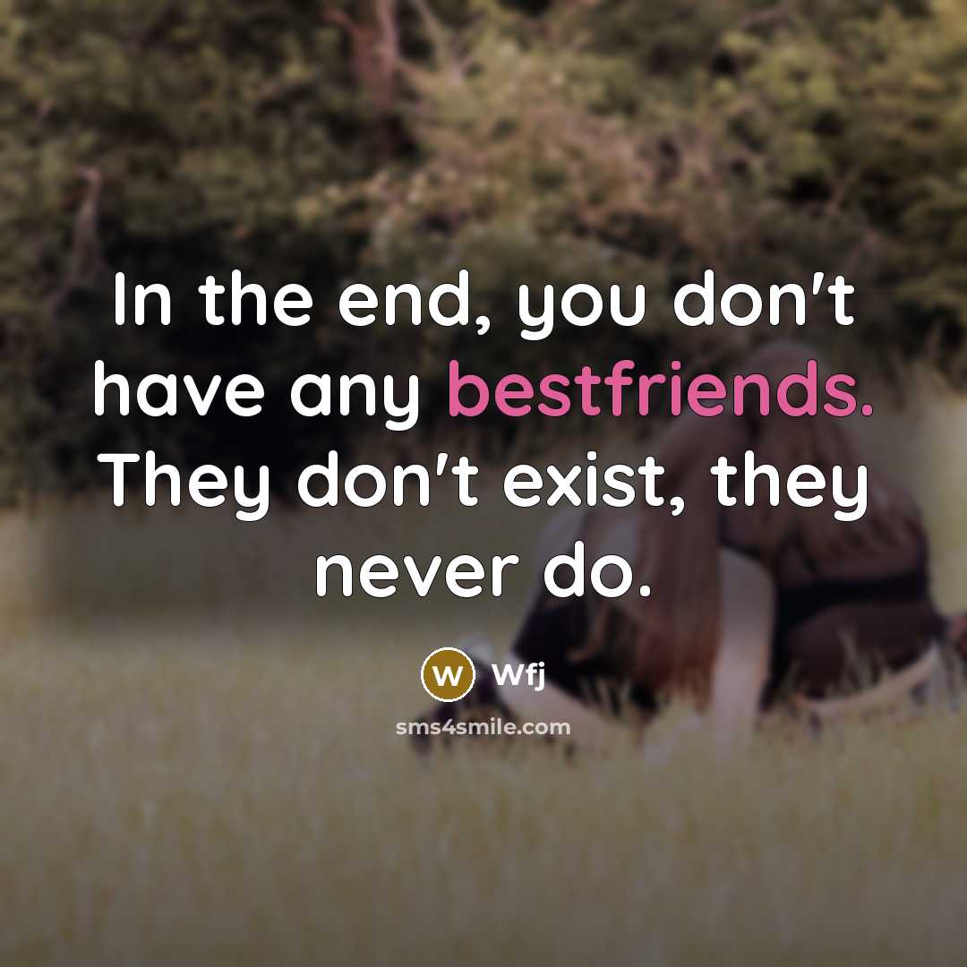 “In the end, you don't have any bestfriends. They don't exist, they never do.” quote by Wfj