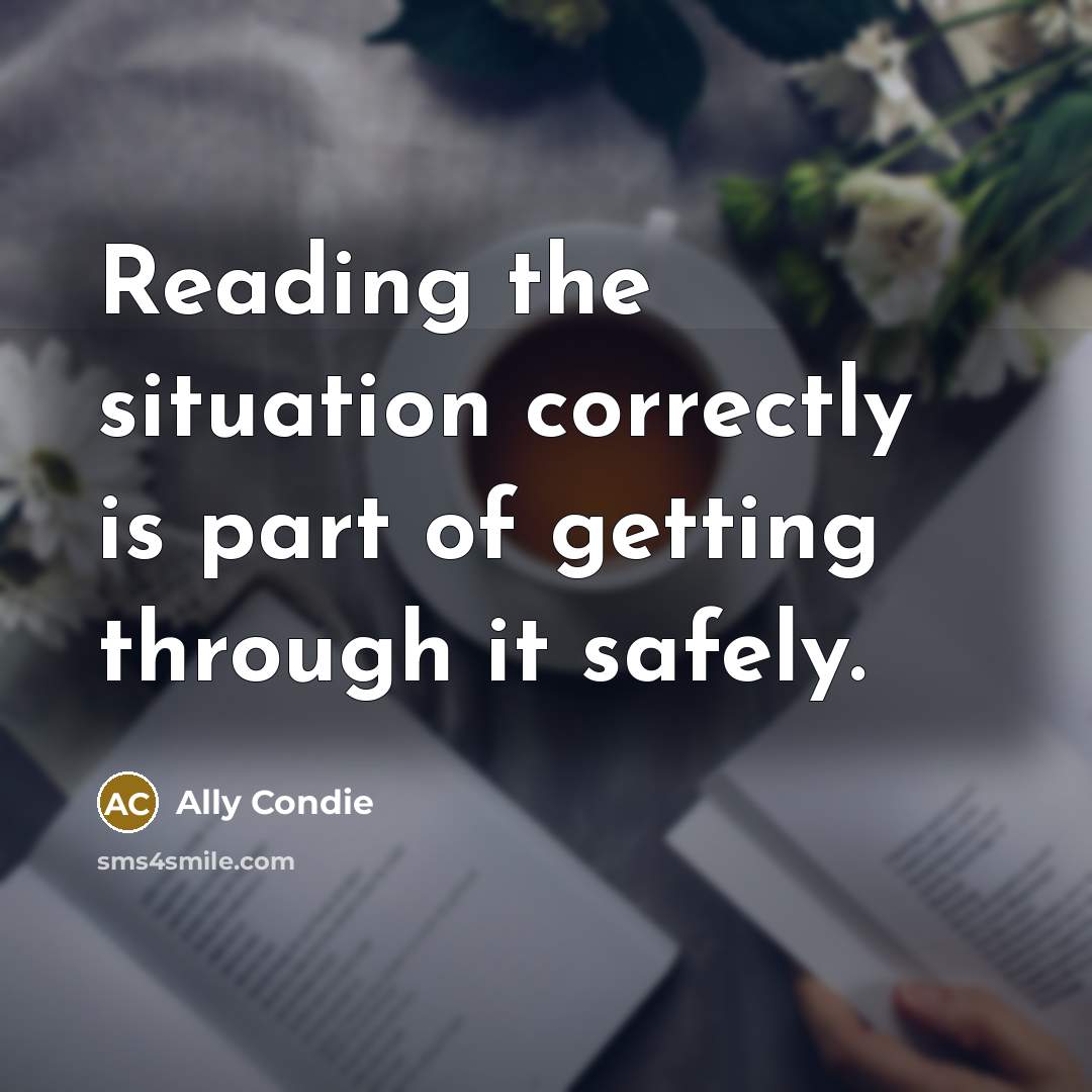“Reading the situation correctly is part of getting through it…” quote by Ally Condie