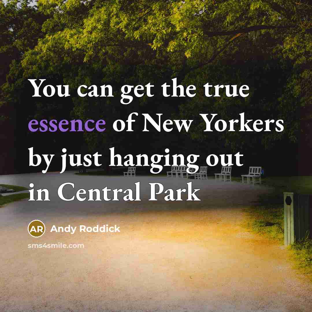 “You can get the true essence of New Yorkers by…” quote by Andy Roddick