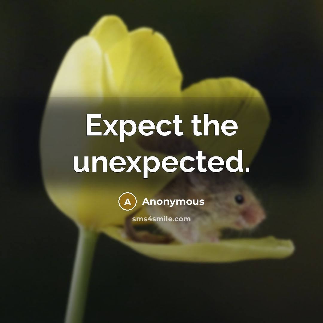 “Expect the unexpected.” quote by Anonymous