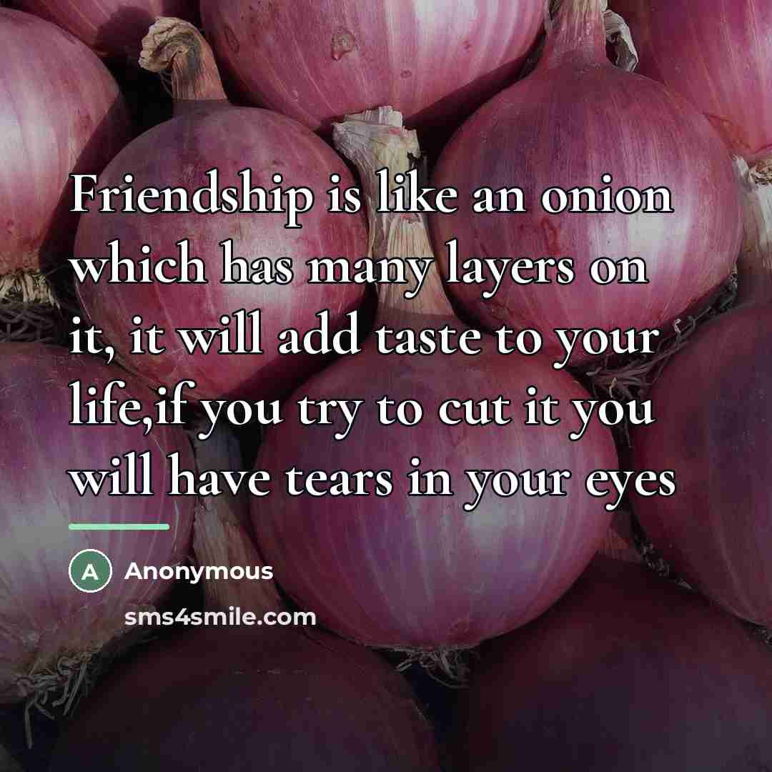 “Friendship is like an onion which has many layers on…” quote by Anonymous