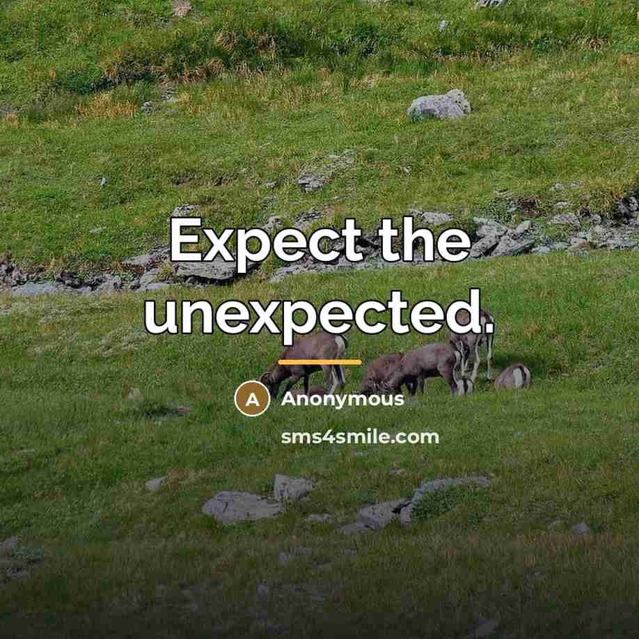 “Expect the unexpected.…” quote by Anonymous
