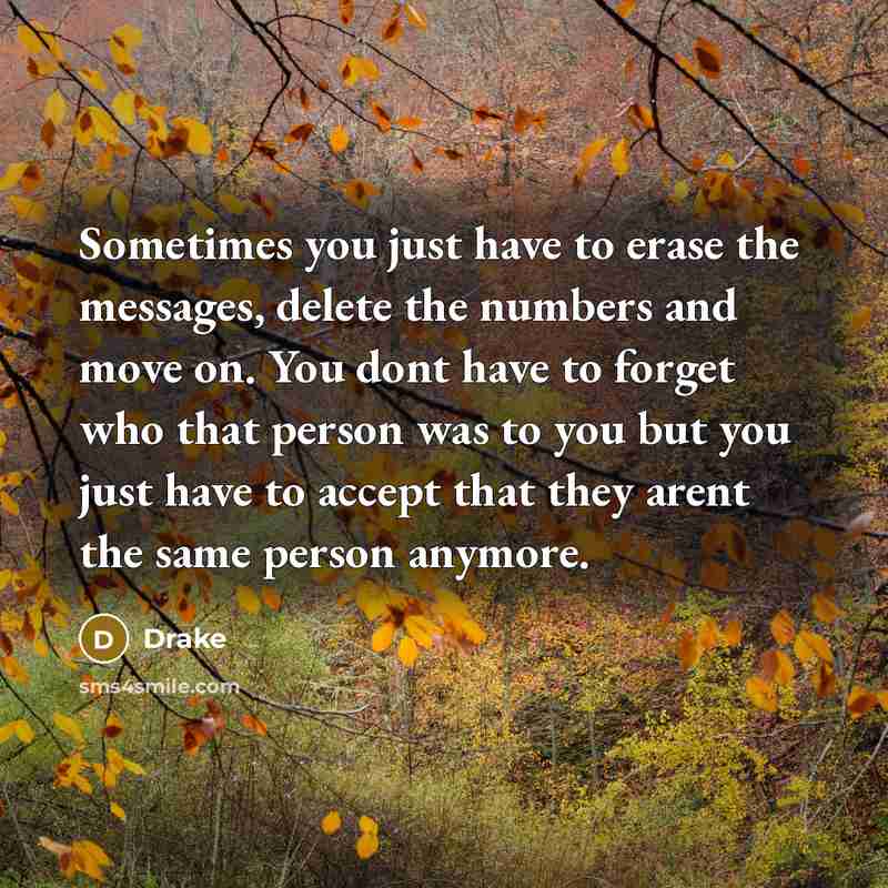“Sometimes you just have to erase the messages, delete the…” quote by Drake