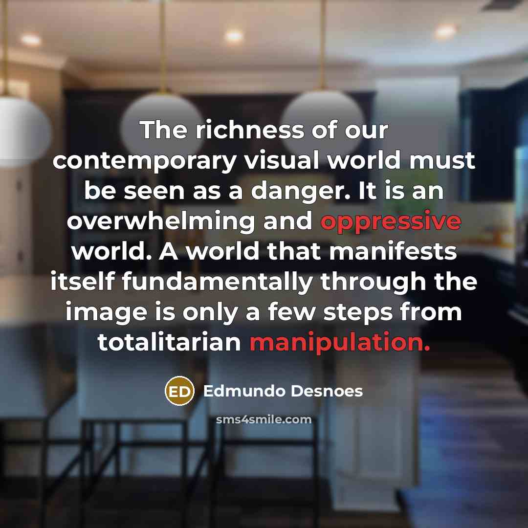 “The richness of our contemporary visual world must be seen…” quote by Edmundo Desnoes