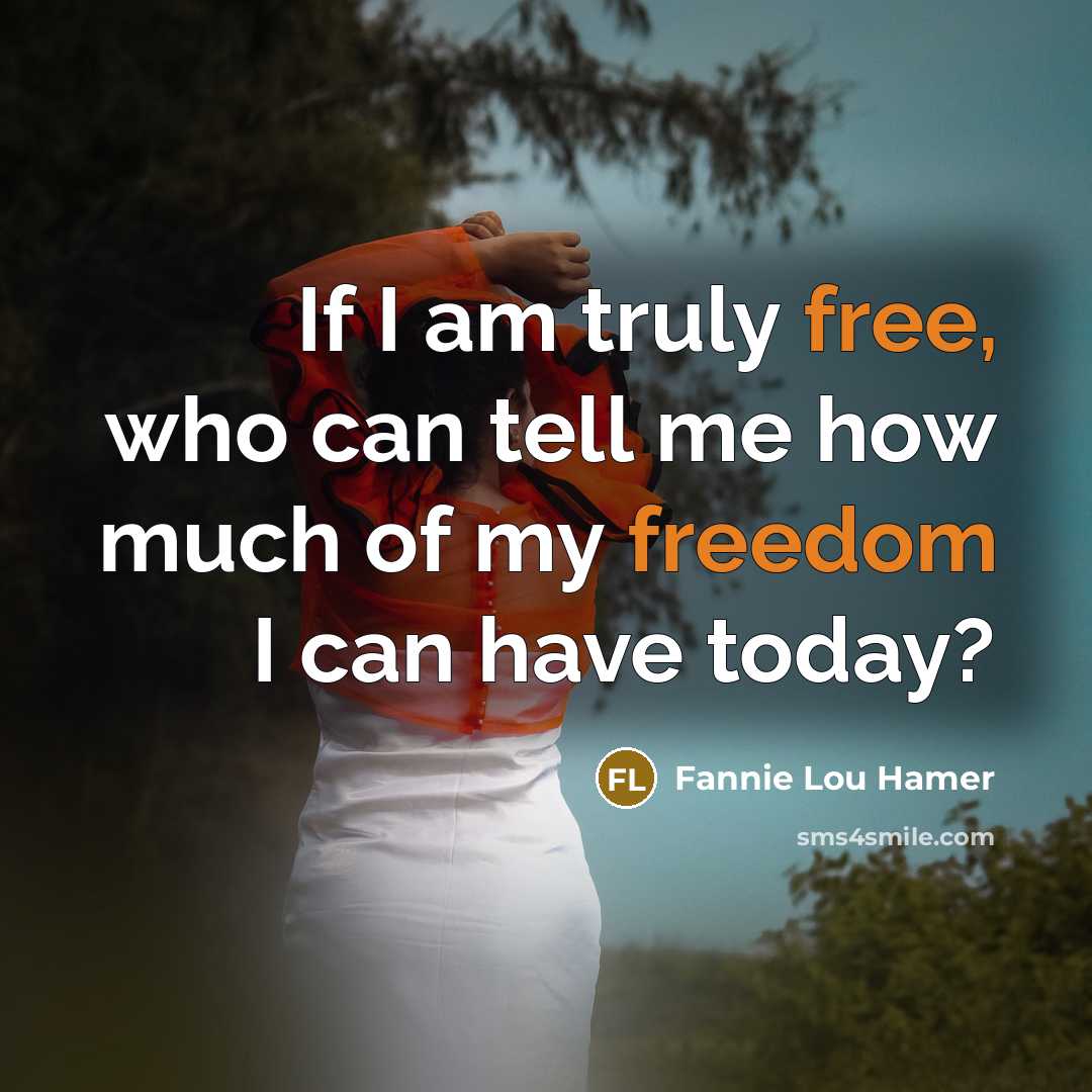 “If I am truly free, who can tell me how much of my freedom I can have today?” quote by Fannie Lou Hamer
