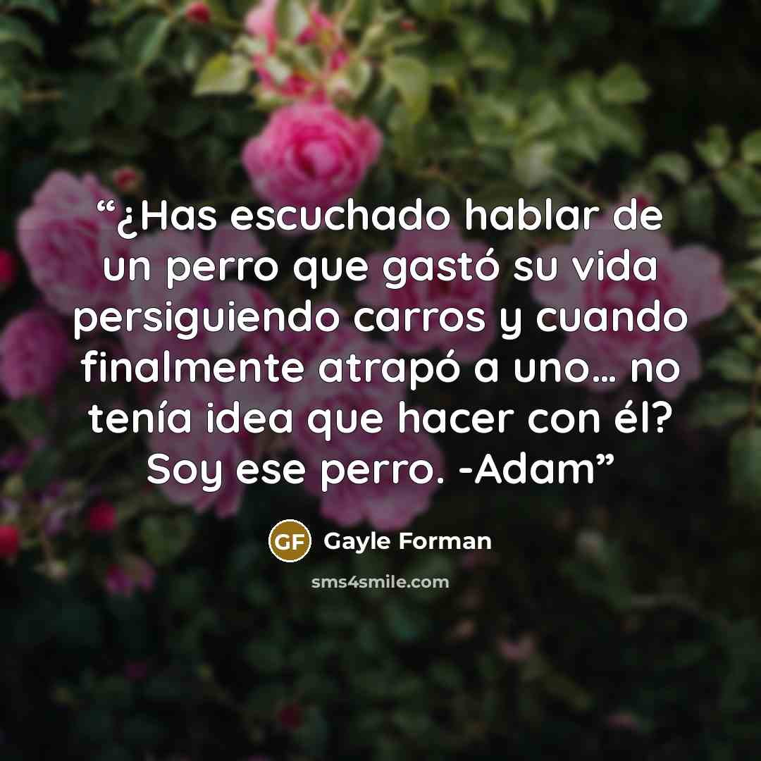 “¿Has escuchado hablar de un perro que gastó su vida persiguiendo carros y cuando finalmente atrapó a uno… no tenía idea que hacer con él? Soy ese perro. -Adam” quote by Gayle Forman