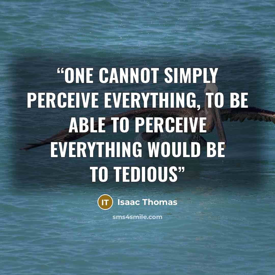 “One cannot simply perceive everything, to be able to perceive everything would be to tedious” quote by Isaac Thomas