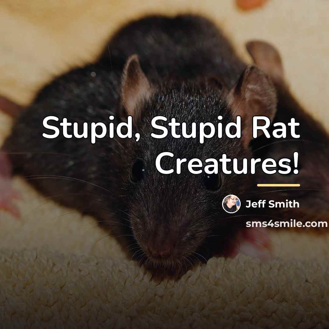 “Stupid, Stupid Rat Creatures!…” quote by Jeff Smith