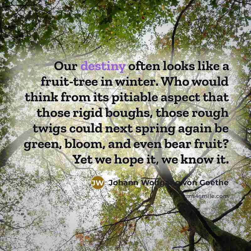 “Our destiny often looks like a fruit-tree in winter. Who…” quote by Johann Wolfgang von Goethe