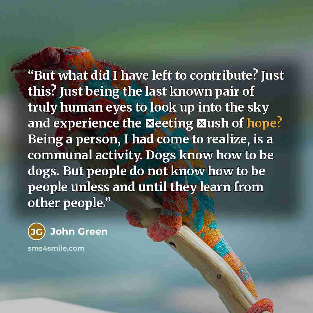 “But what did I have left to contribute? Just this? Just being the last known pair of truly human eyes to look up into the sky and experience the ␣eeting ␣ush of hope? Being a person, I had come to realize, is a communal activity. Dogs know how to be dogs. But people do not know how to be people…” quote by John Green