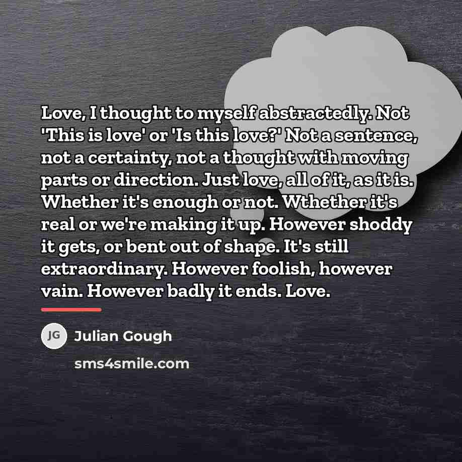 “Love, I thought to myself abstractedly. Not 'This is love'…” quote by Julian Gough
