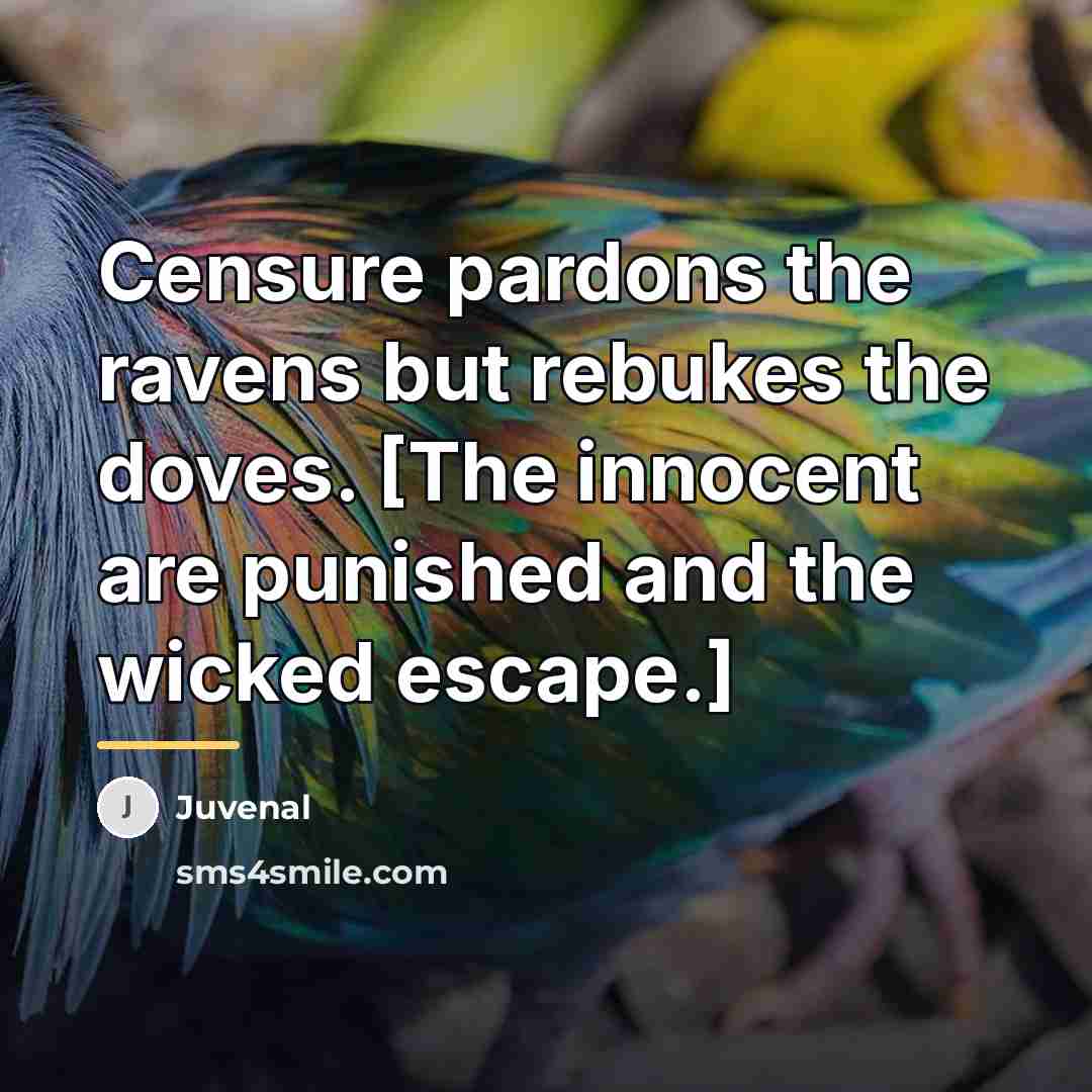 “Censure pardons the ravens but rebukes the doves. [The innocent…” quote by Juvenal